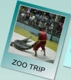 ZOO TRIP