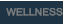 WELLNESST