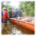 Lahan Schweinemarkt (Direkt-Verkauf bei Hochwasser)