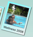 Wellness 2008