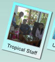 Tropical Staff