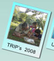 TRIPs  2008